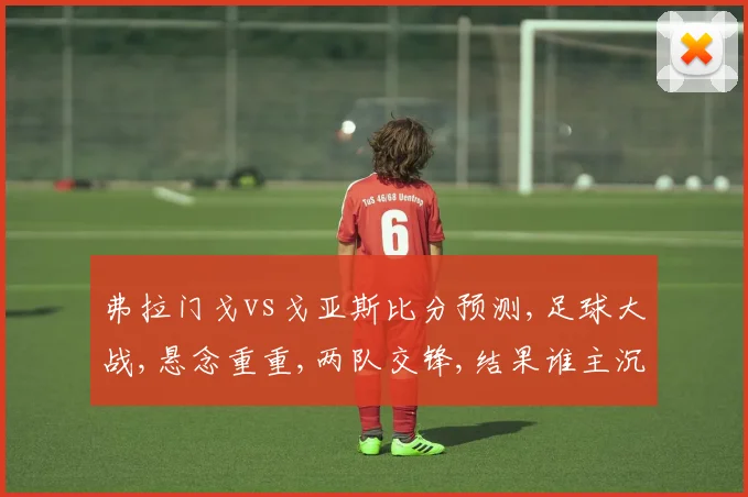 弗拉门戈vs戈亚斯比分预测,足球大战,悬念重重,两队交锋,结果谁主沉浮