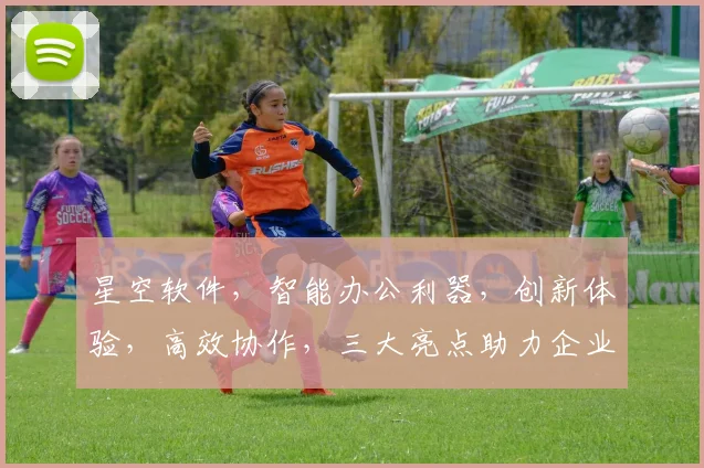 星空软件，智能办公利器，创新体验，高效协作，三大亮点助力企业成长，必看
